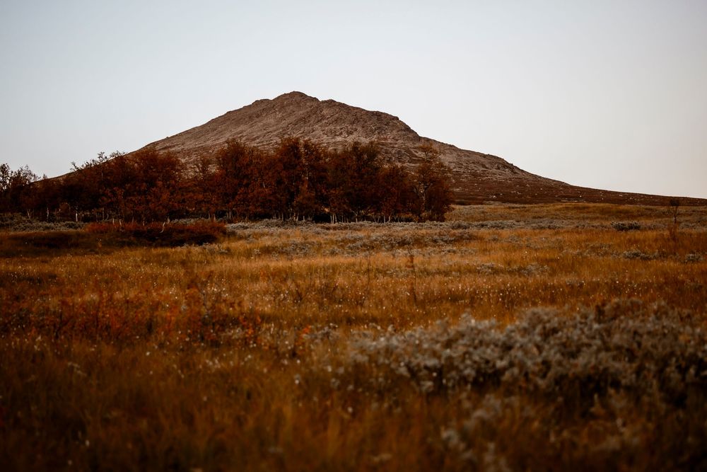 A rugged brown mountain rises above autumn grasslands under an overcast sky.