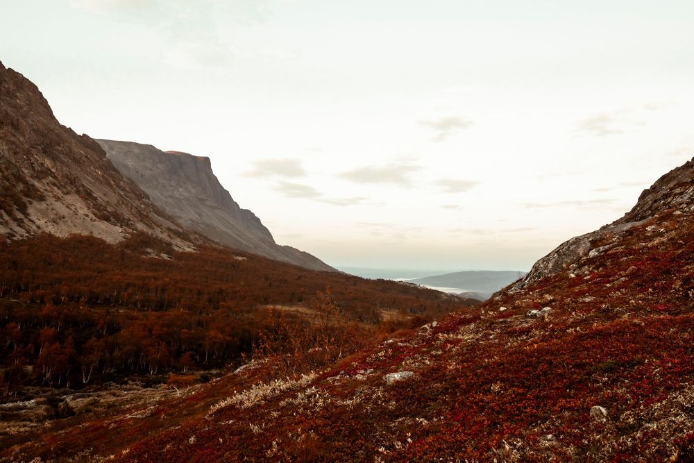 Misty mountain valley with reddish autumn foliage and rugged cliffs under a cloudy sky.