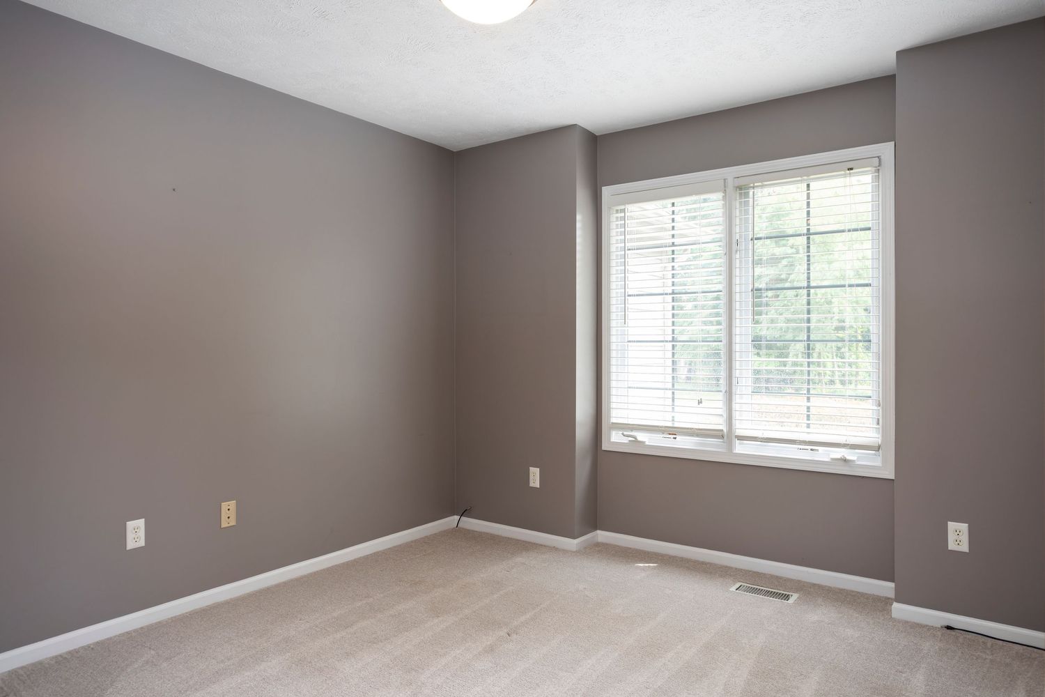 Contemporary bedroom with gray walls, light carpet flooring, and large window providing natural light.