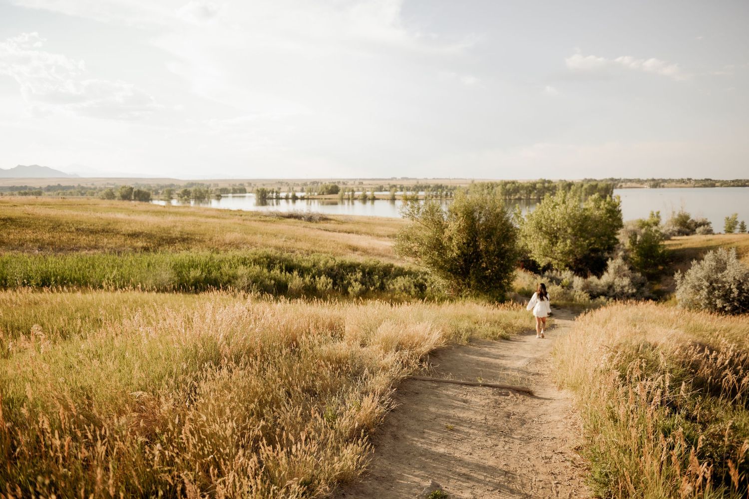 Dirt trail winding through golden prairie grassland leads to scenic lake views with trees along shoreline.