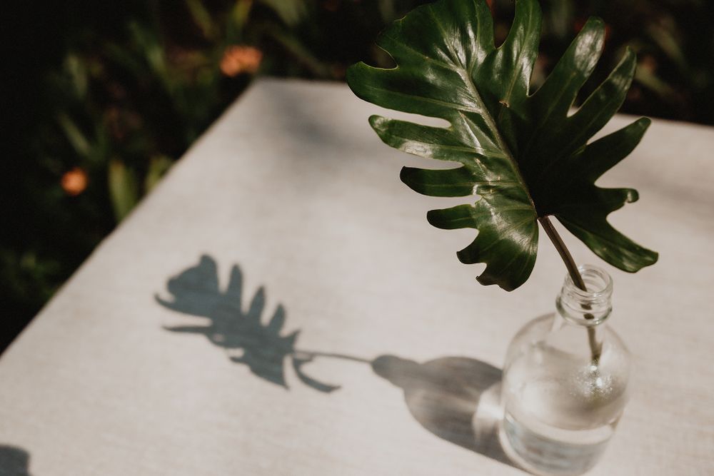 Mexico City wedding photographer
