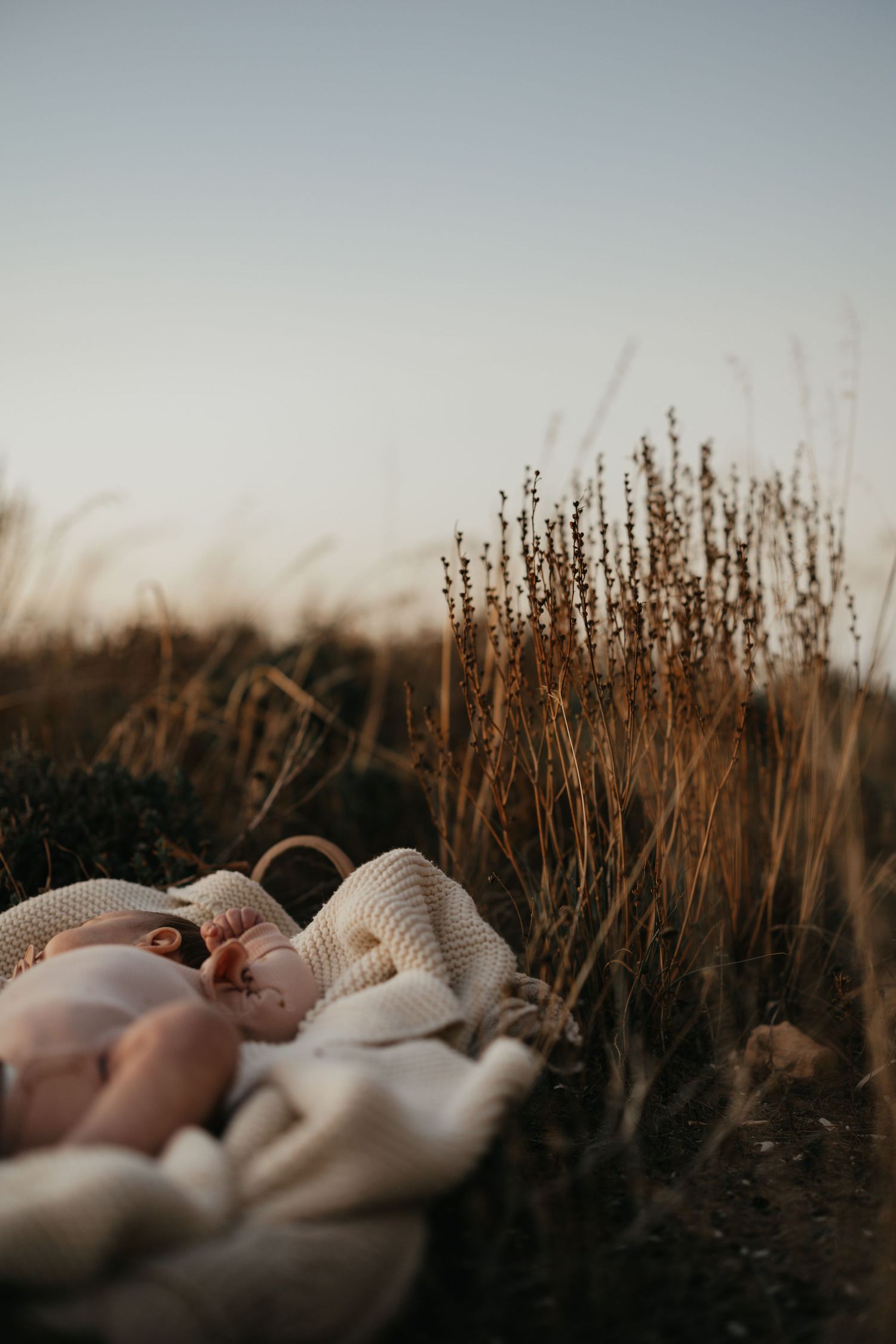Soft focus image of tall grass and blankets at sunset in nature.