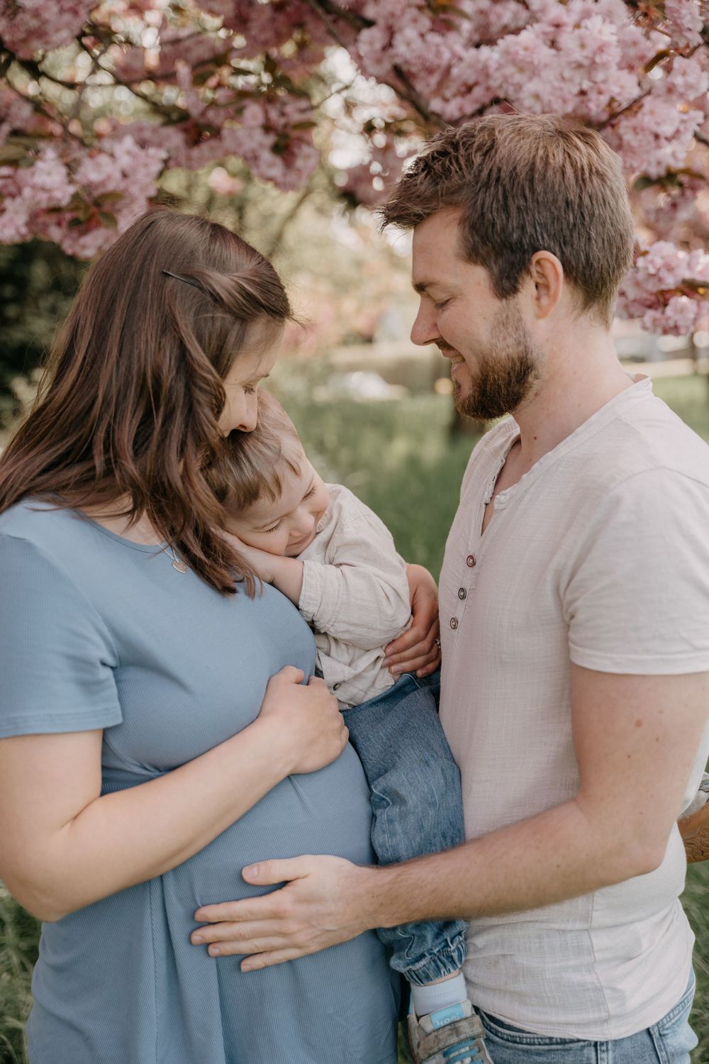 A couple share intimate moments with their young child under blooming cherry blossoms in a spring outdoor setting.