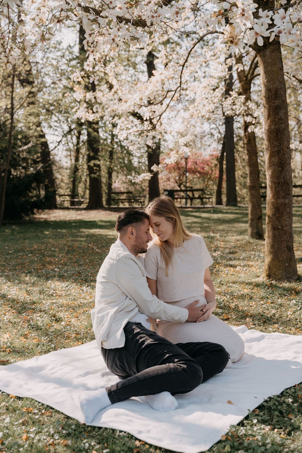 A couple shares a tender moment on a white blanket under blooming cherry blossoms in a spring park.