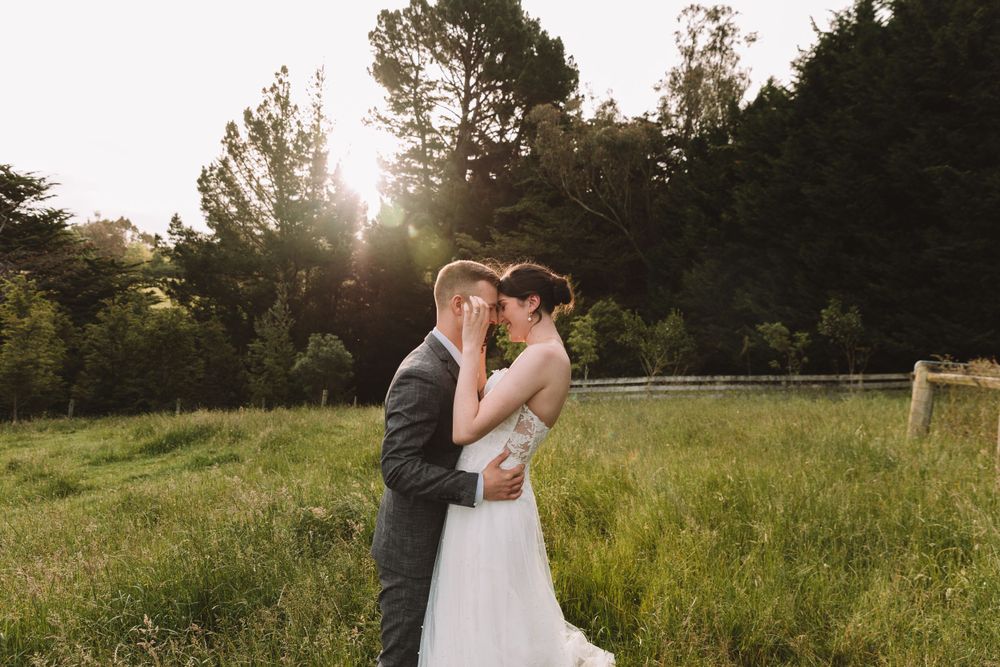 A romantic moment between newlyweds in a golden meadow with sunlight streaming through the trees.