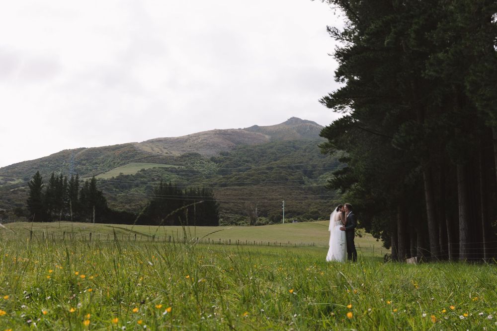 A wedding couple stands at the edge of a forest meadow with mountains in the background on a cloudy day.