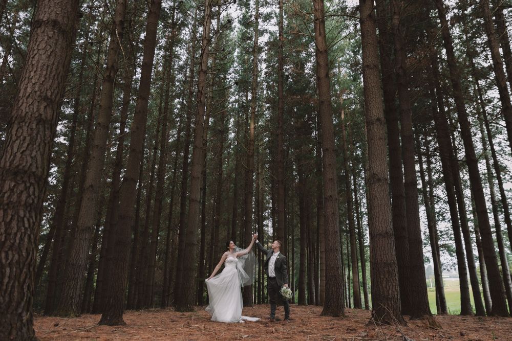 A dreamy wide-angle wedding photo showing a couple dancing among towering pine trees.