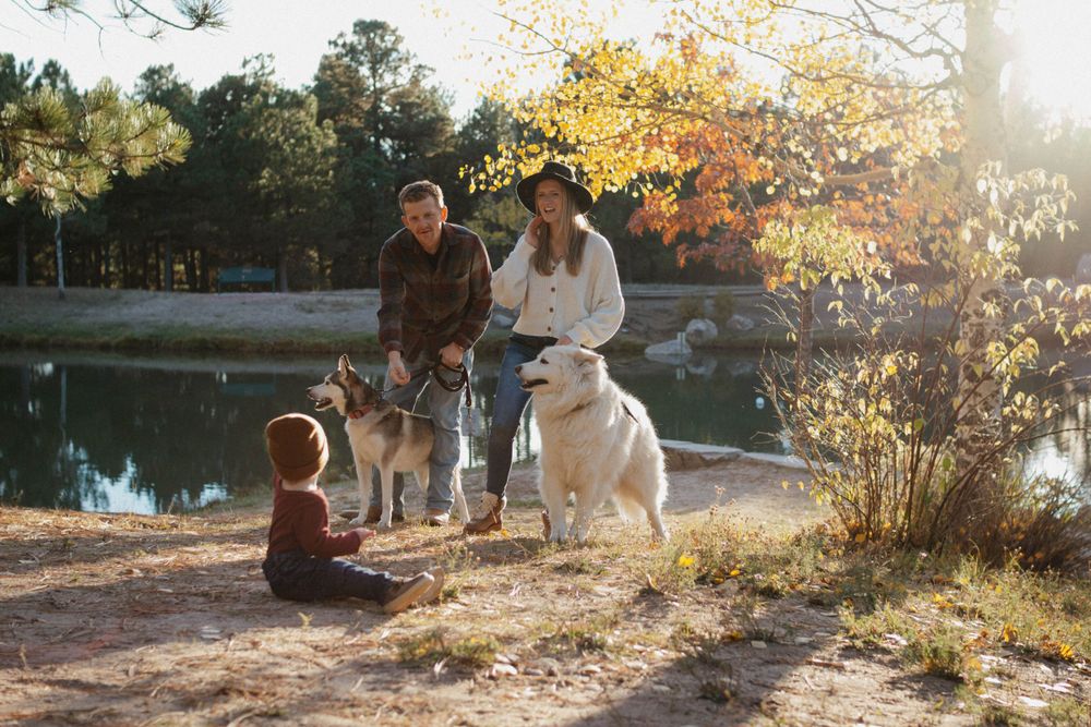 family photoshoot on autumn afternoon with their dogs by a lake as golden sunlight filters through the trees. Colorado Springs, Colorado.