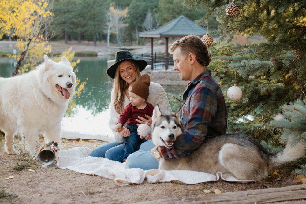 Family photoshoot whit dogs, outdoors woods and lake background. Colorado