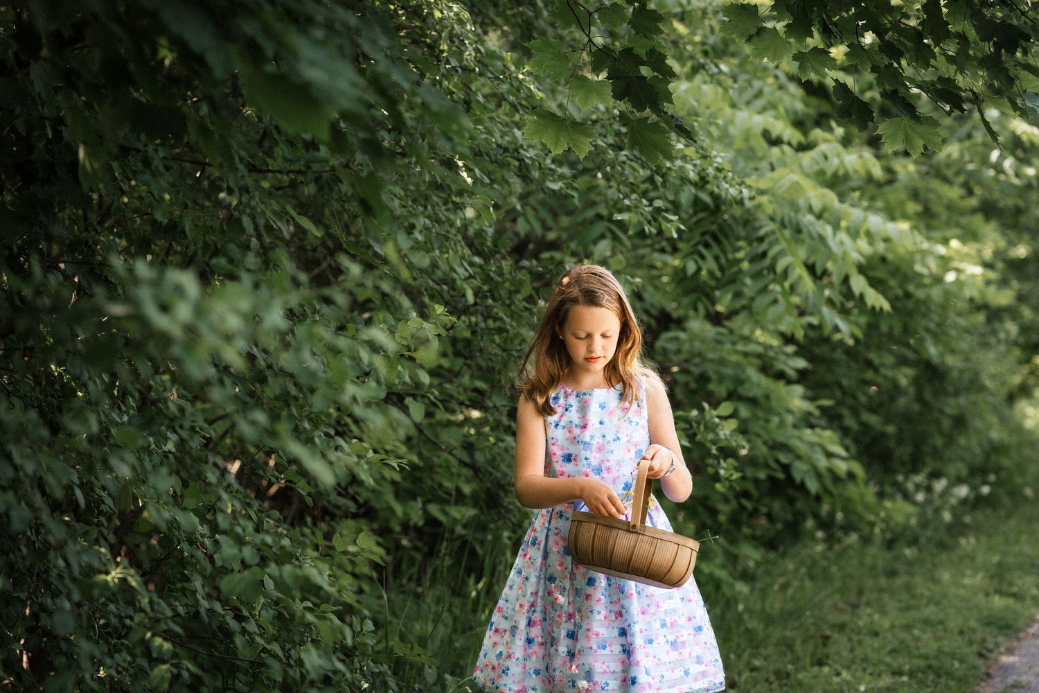 family photographer ottawa
