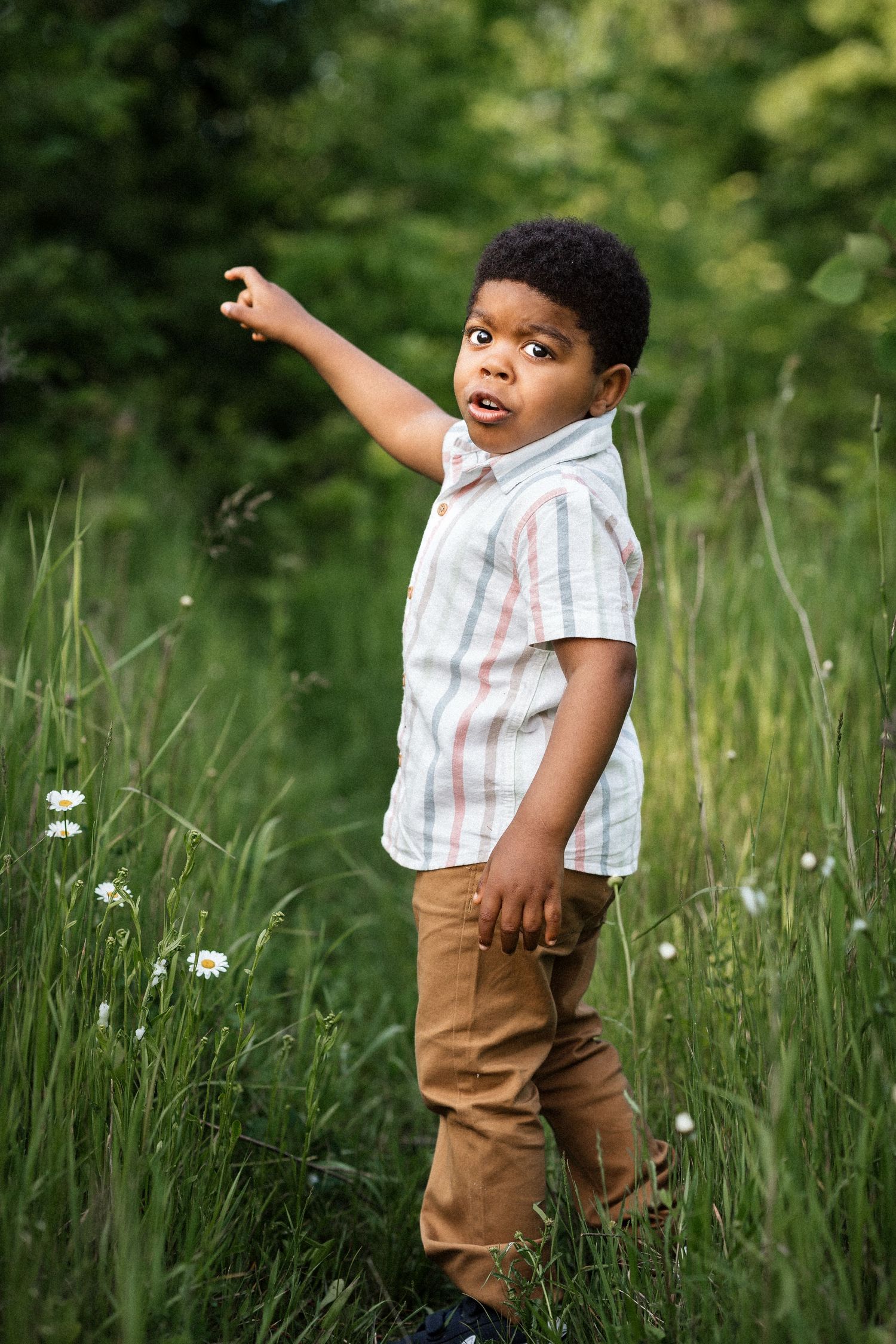 family photographer in Ottawa