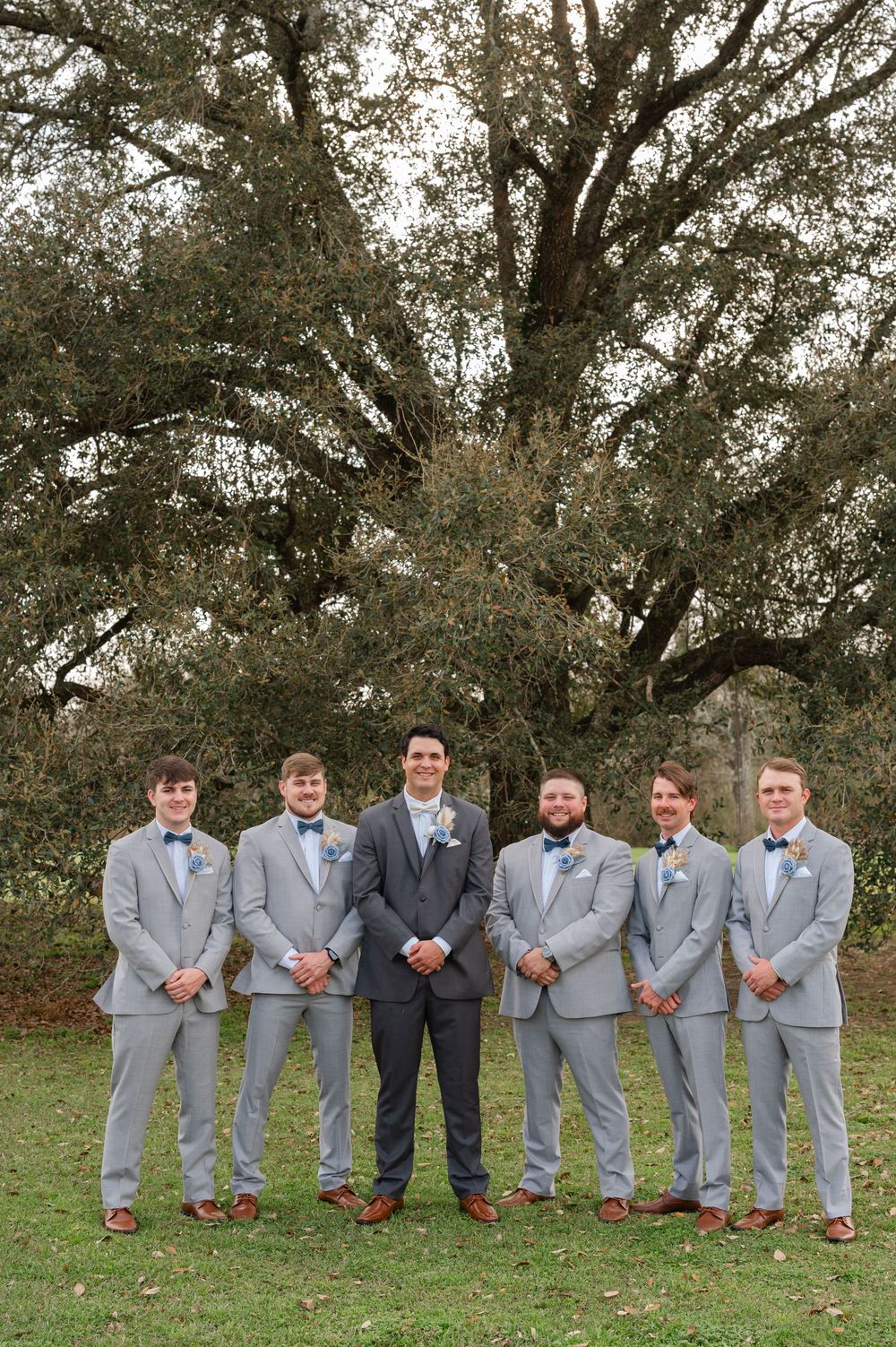 A group of groomsmen in light gray suits with bow ties stand together on grass beneath a large tree.
