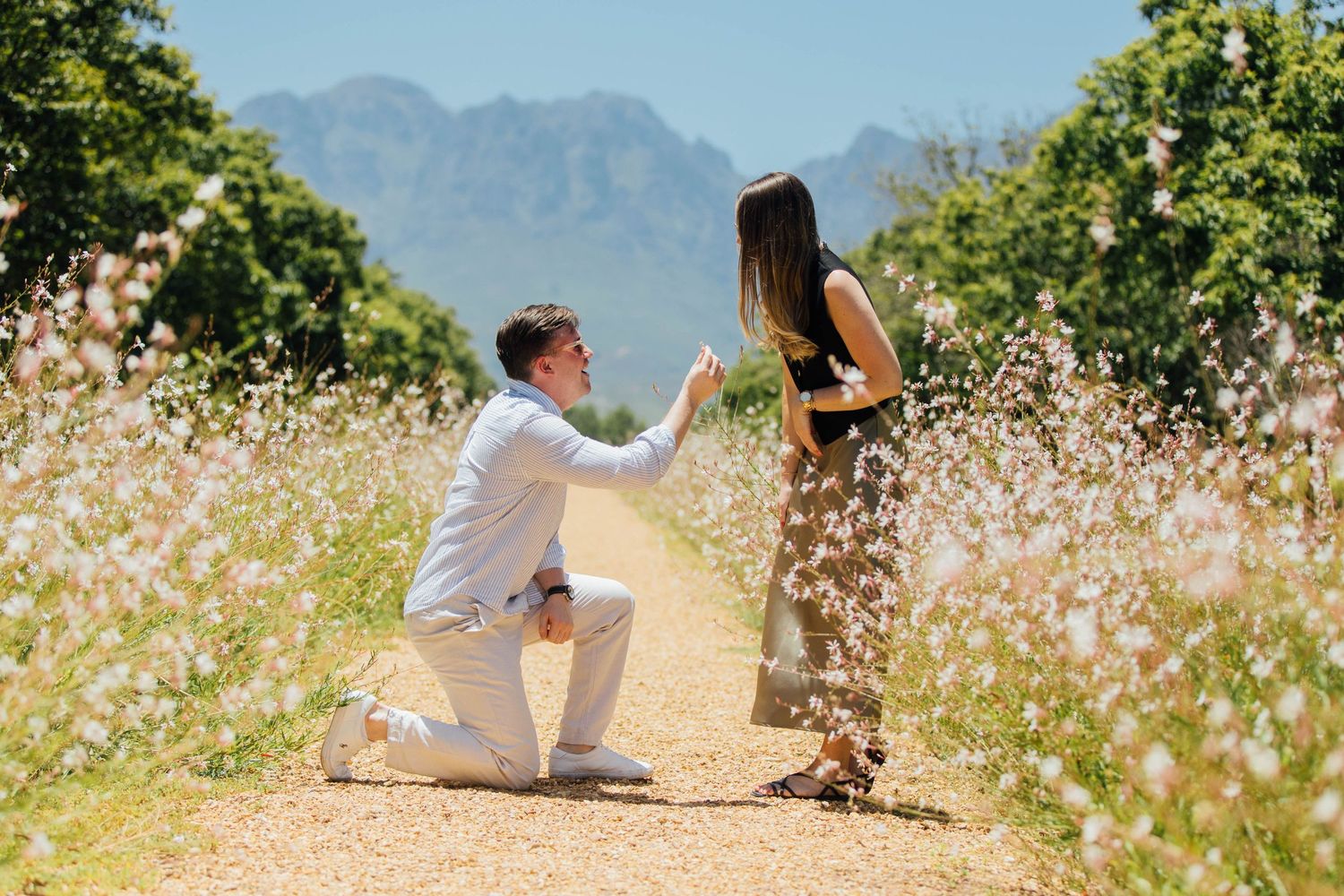 A romantic marriage proposal scene on a mountain trail surrounded by wildflowers and scenic mountain views.