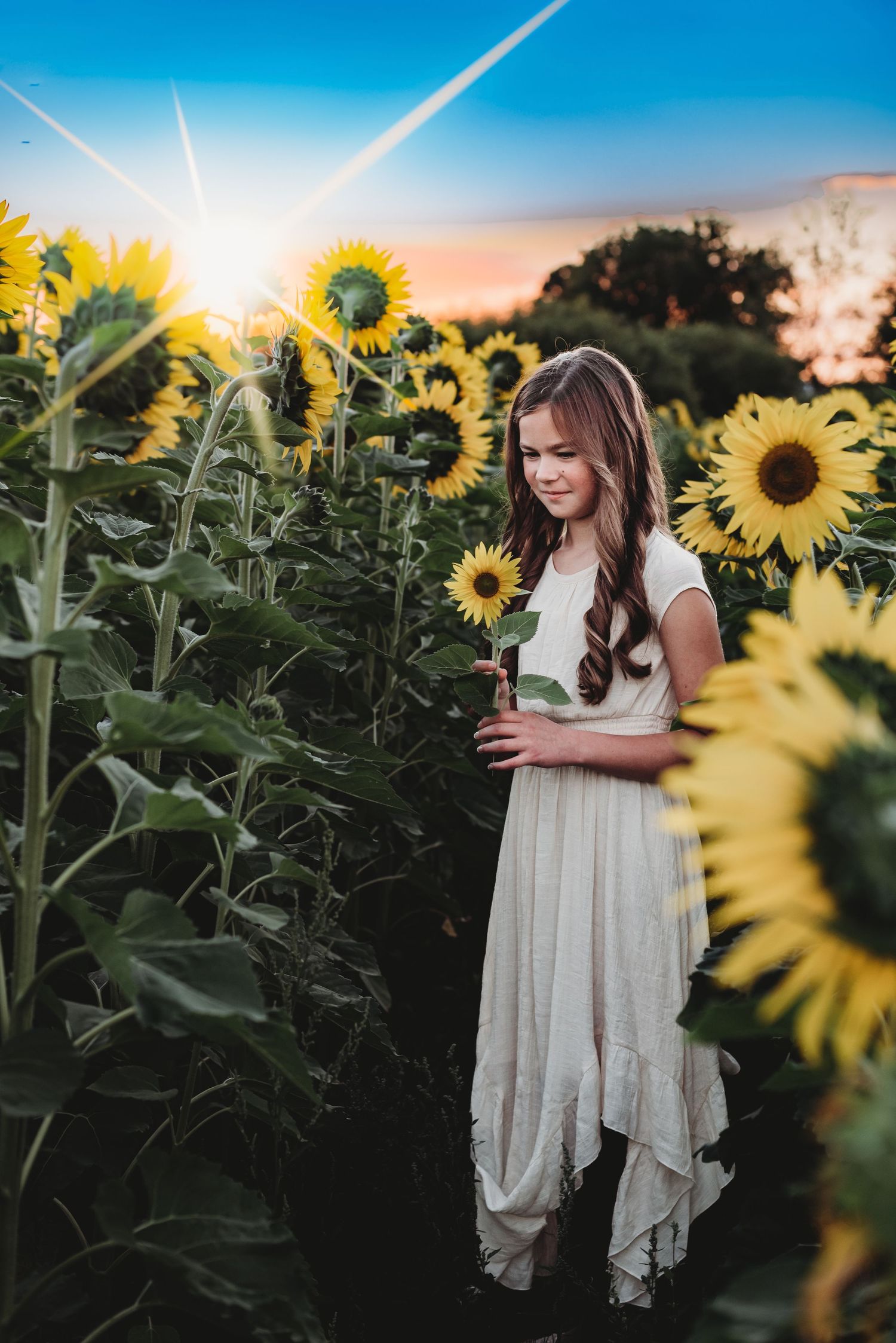 Sunflower Mini Sessions - A favorite