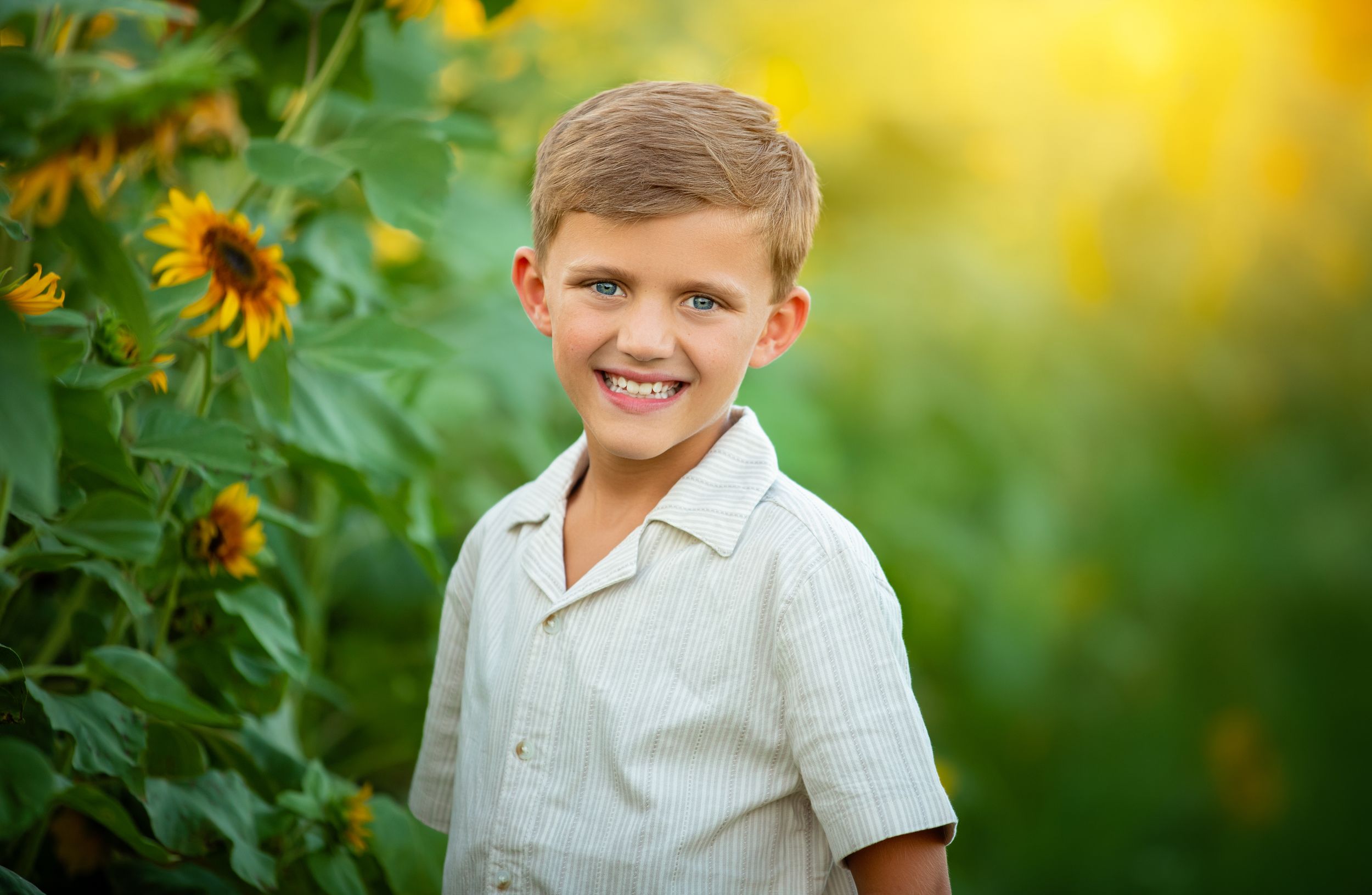 A bright summertime portrait in a sunflower garden with soft golden lighting and natural bokeh effect in the background.