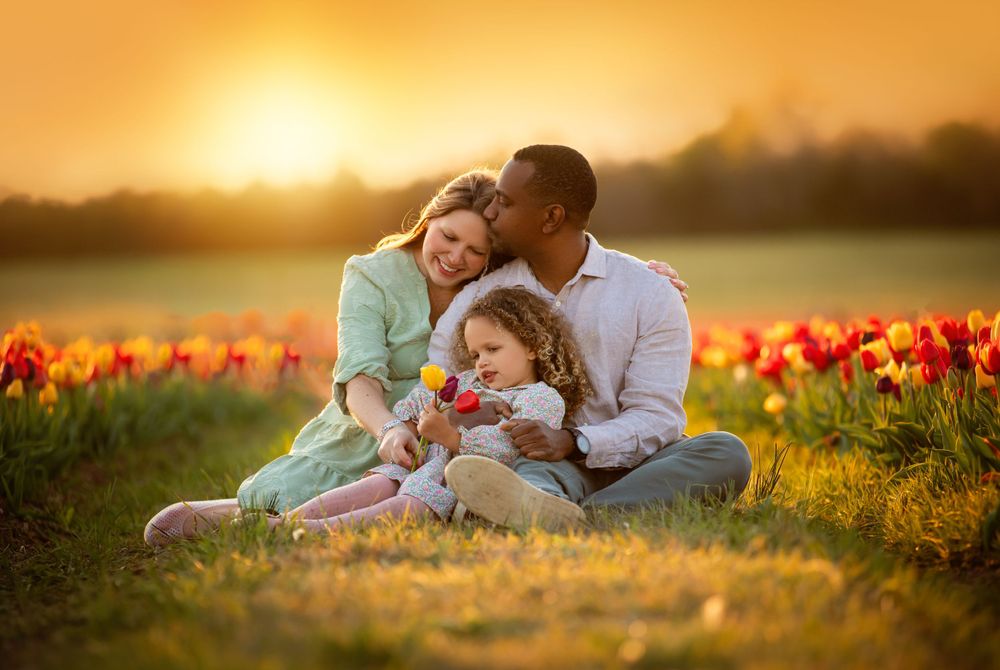 A family sits together in a vibrant tulip field during golden sunset, creating a warm and intimate moment.
