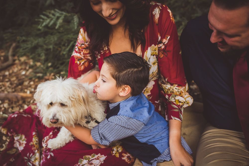 A cuddly white puppy being lovingly embraced and kissed during an outdoor autumn photoshoot with burgundy decor.