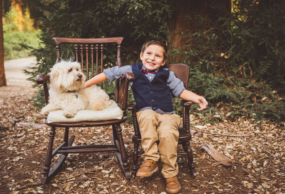 A series of five connected photos showing autumn outdoor portraits with a small white dog in a natural setting.
