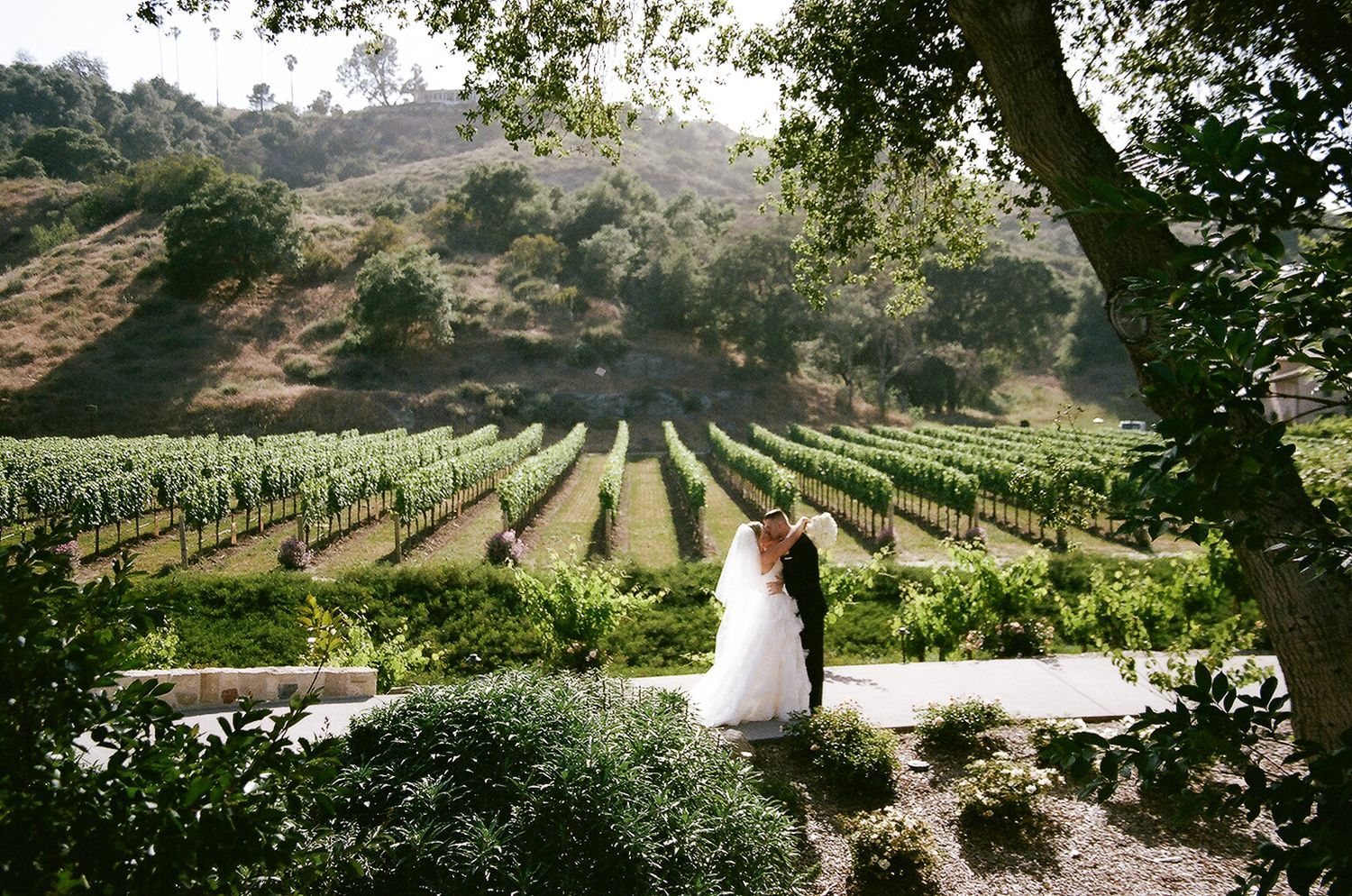A couple stands at the edge of a scenic vineyard with rolling hills and oak trees in the California countryside.