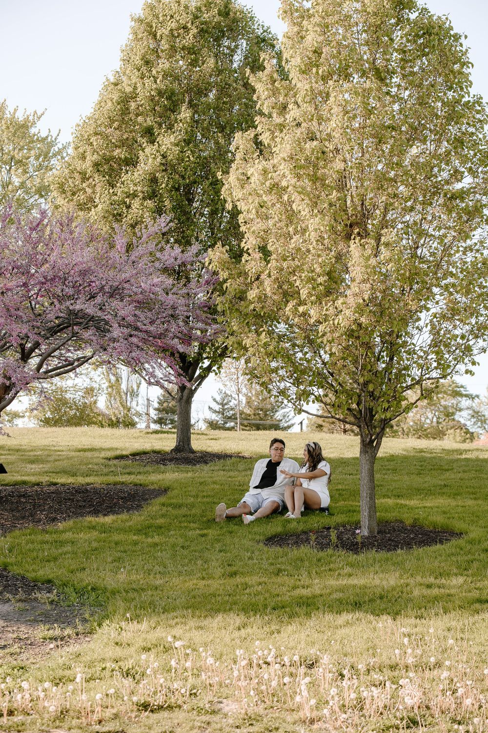 A couple shares a romantic moment under blooming cherry blossom and poplar trees in a serene spring meadow.