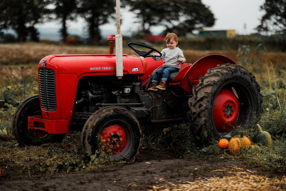 A child sits atop a vintage red tractor in a pumpkin field.