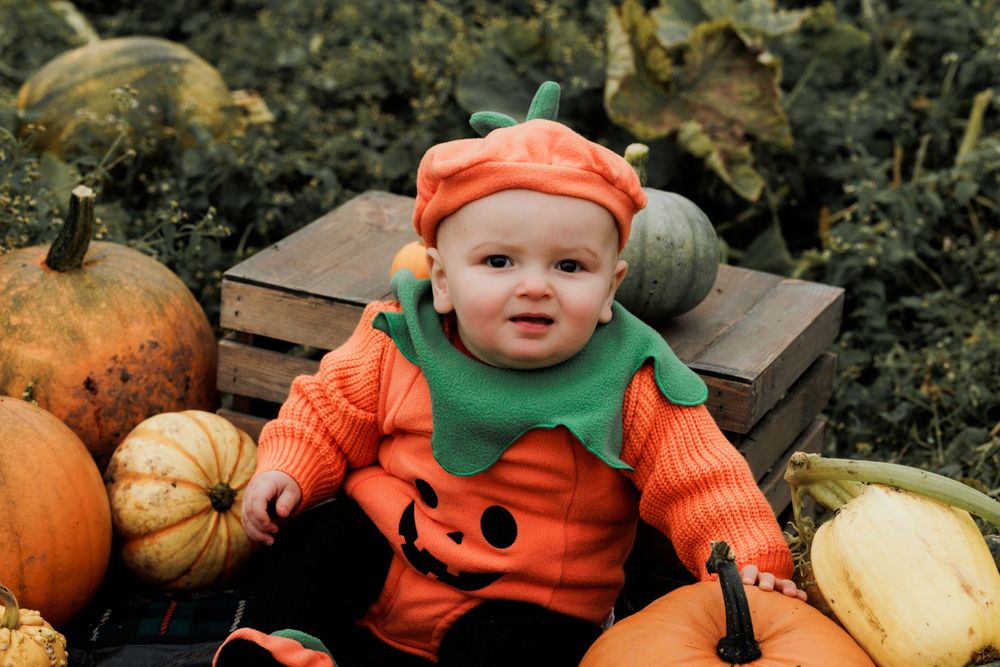 A small pumpkin-themed Halloween costume with orange and green colors sits among real pumpkins.