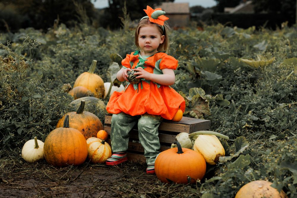 Orange and green pumpkin costume in autumn pumpkin patch with various sized gourds.