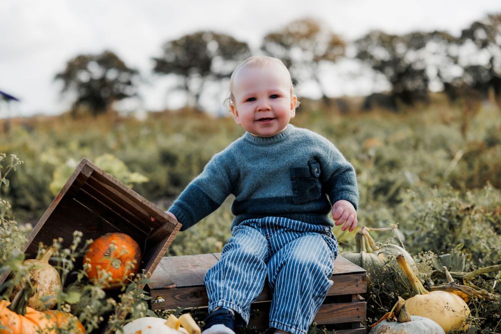 A small child in striped pants sits on a wooden crate next to pumpkins outdoors.