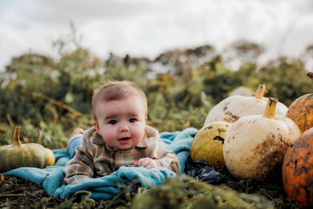 Baby lying on blue blanket surrounded by colorful pumpkins in outdoor patch.
