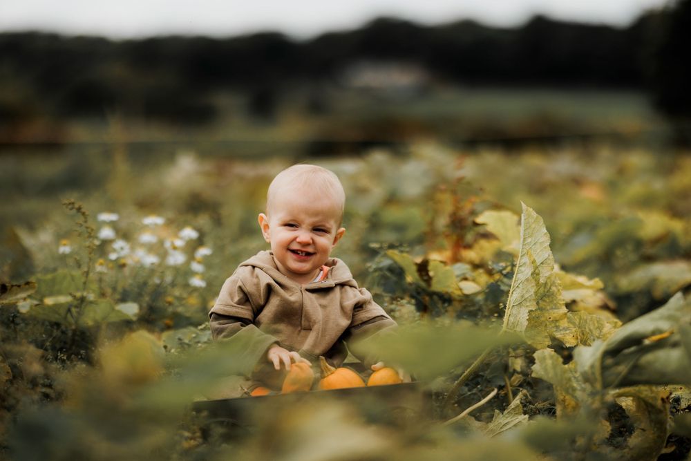 A joyful baby sits among green vines in a pumpkin patch during fall.