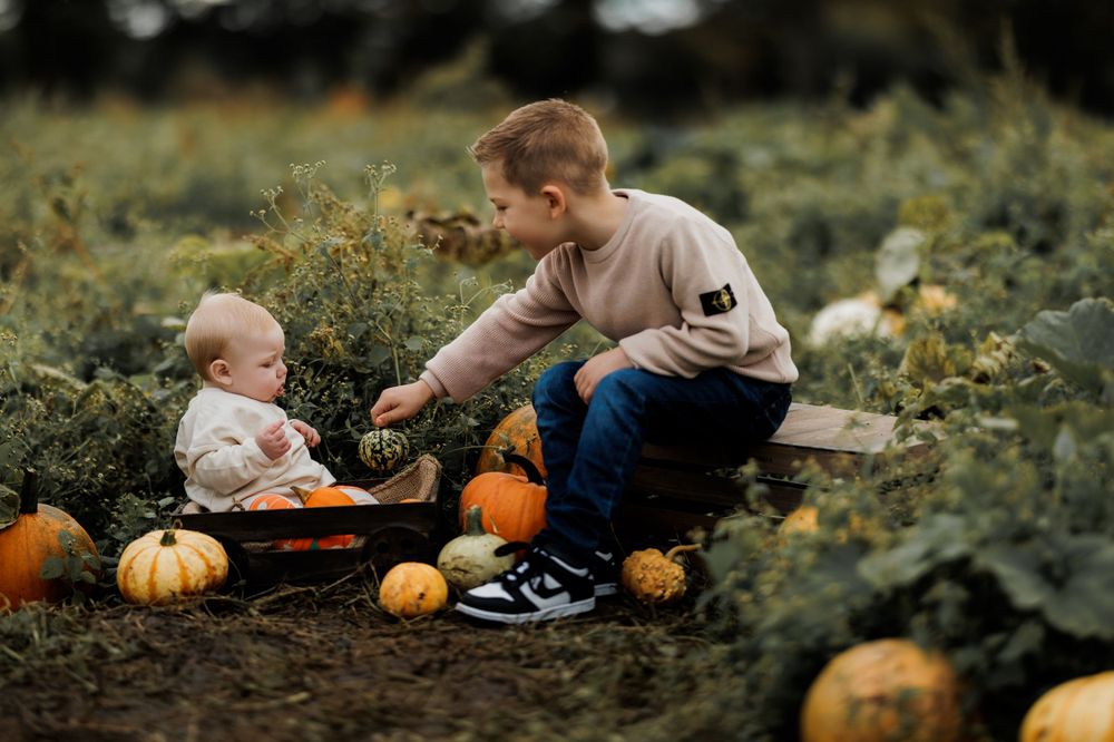 Two people interact among pumpkins in an autumn field during harvest season.
