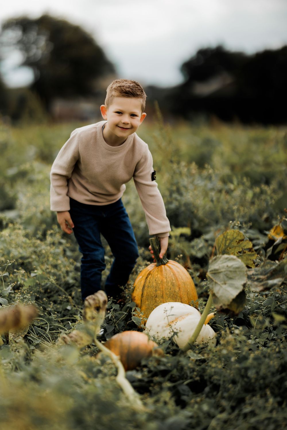A child in beige sweater bends down to inspect pumpkins in a rustic field setting.