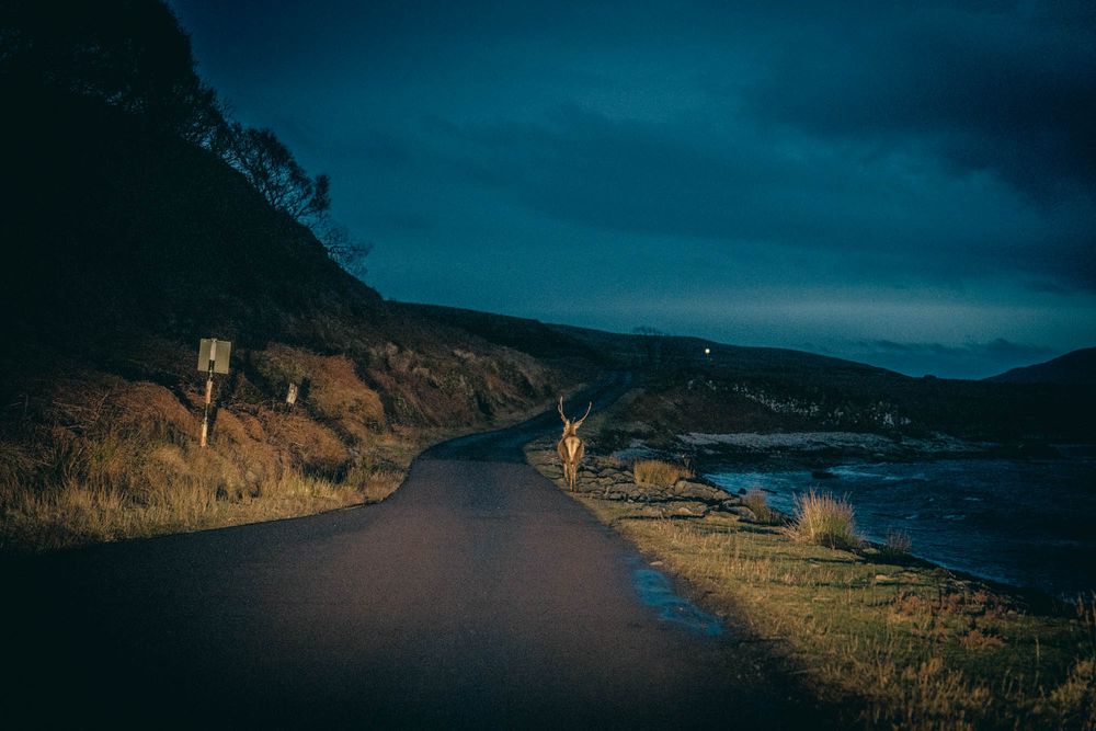 Dramatic mountain landscape at dusk with winding road and golden sunlight illuminating cliff faces under moody sky.