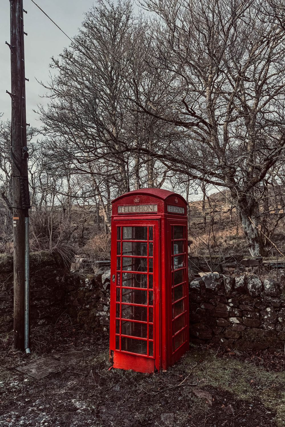 Iconic red British phone booth stands isolated against bare winter trees and stone wall in desaturated landscape.