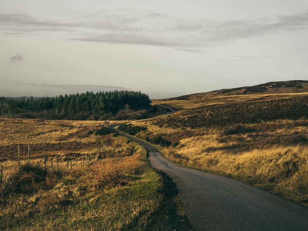 A winding country road cuts through golden rolling hills and evergreen forest under a moody overcast sky in Scotland.