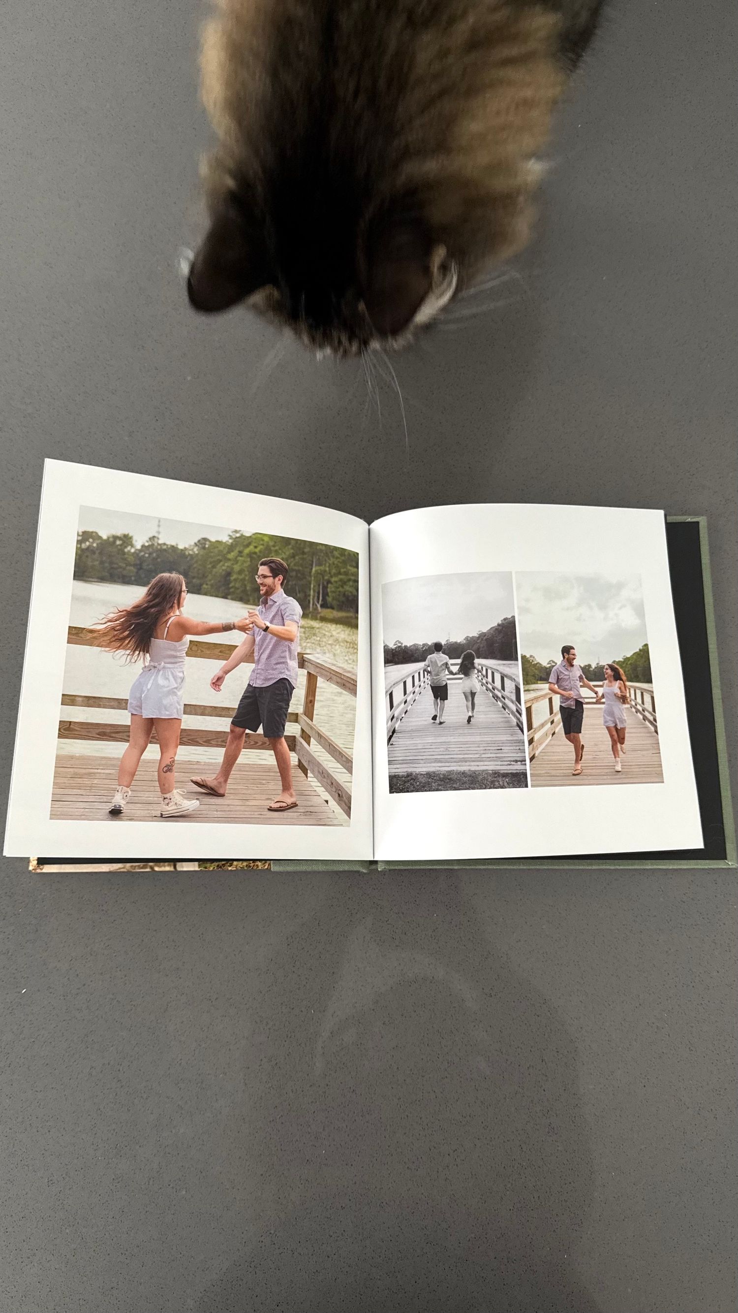 A photo album with romantic couple pictures being observed by a cat's head peeking from above.