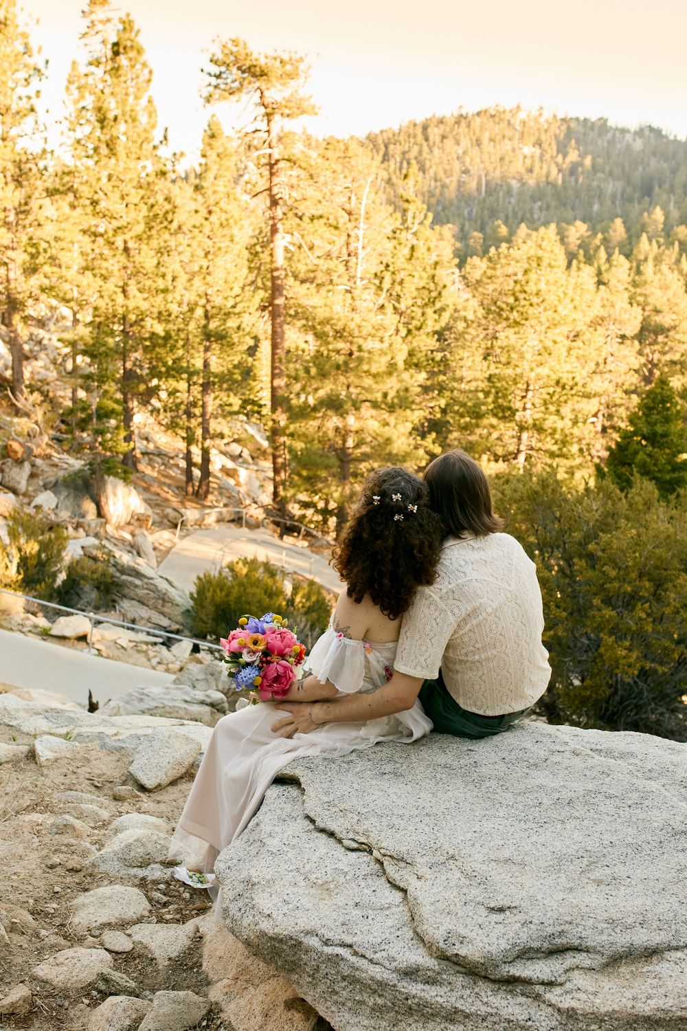 Someone sits on a rocky outcrop holding flowers at sunset with golden sunlit pine trees in the mountain background.