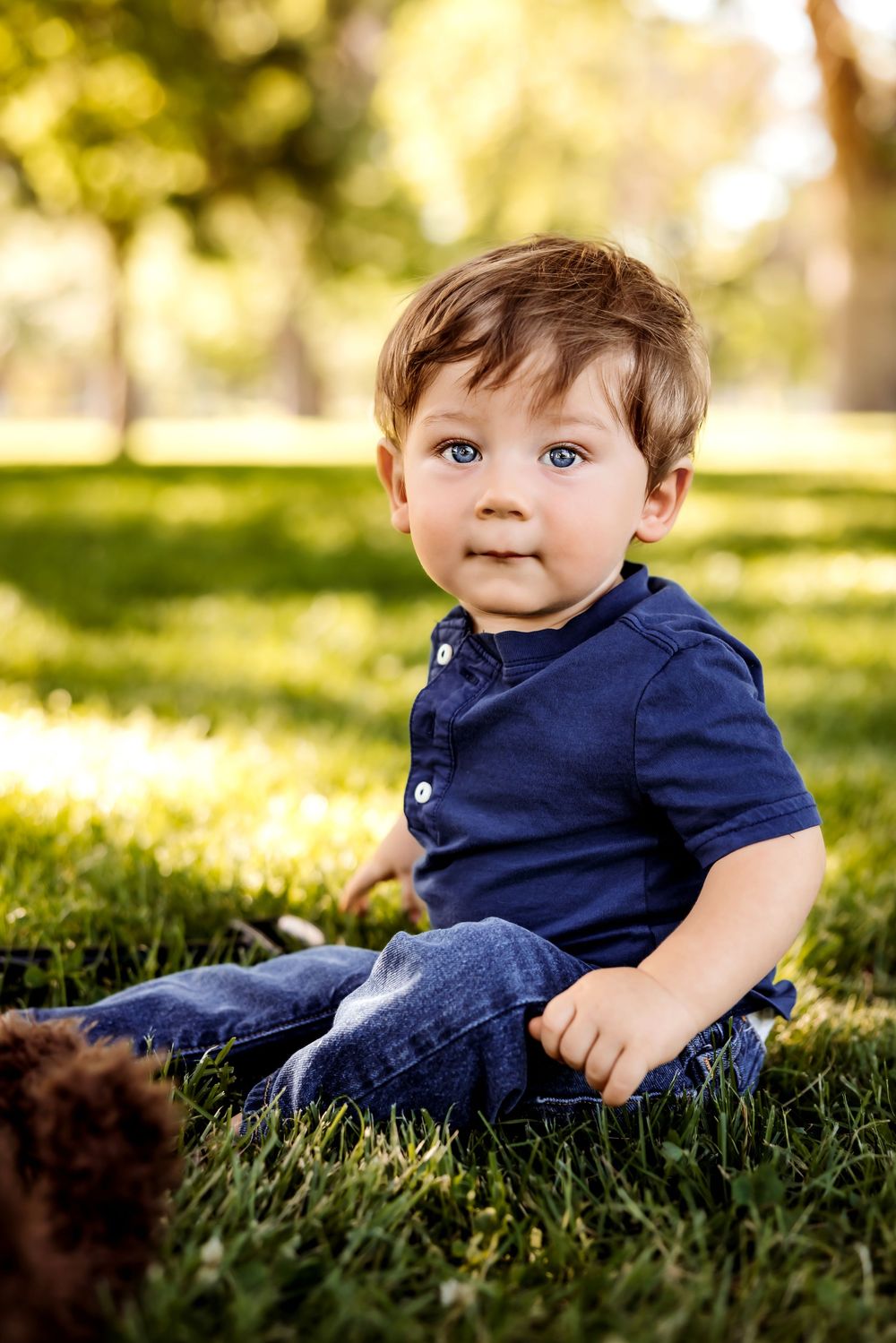 Sweet small child wearing navy blue polo shirt sits on grass in a sunlit park on a warm day. Pueblo Photographer