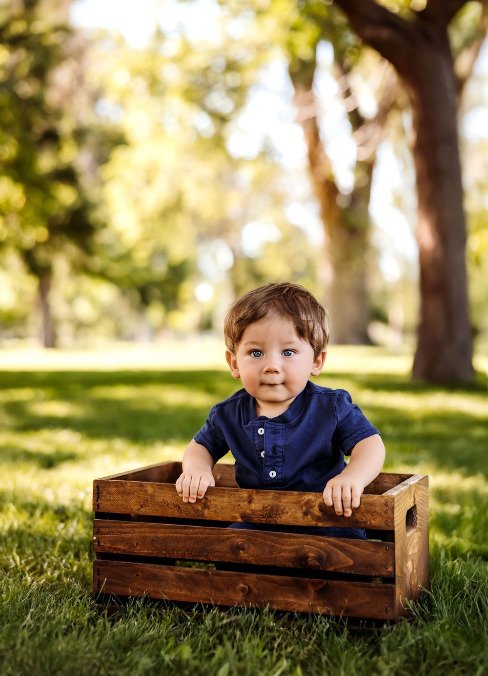 A child plays peekaboo in a wooden crate outdoors in a grassy park setting with sunlit trees in the background. Pueblo Photographer