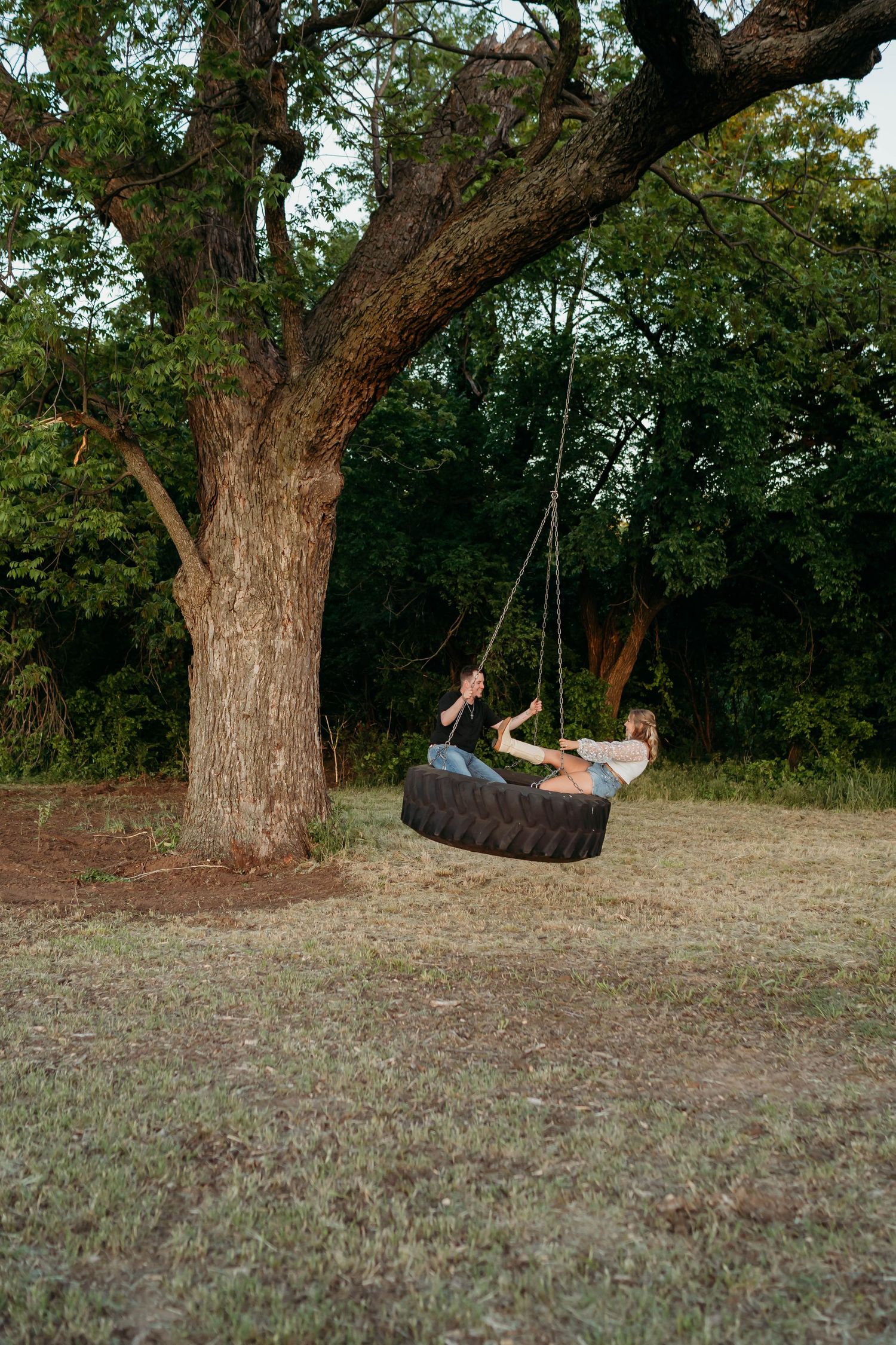 A sequence of four action shots showing a tire swing's motion as someone swings back and forth under a large tree.