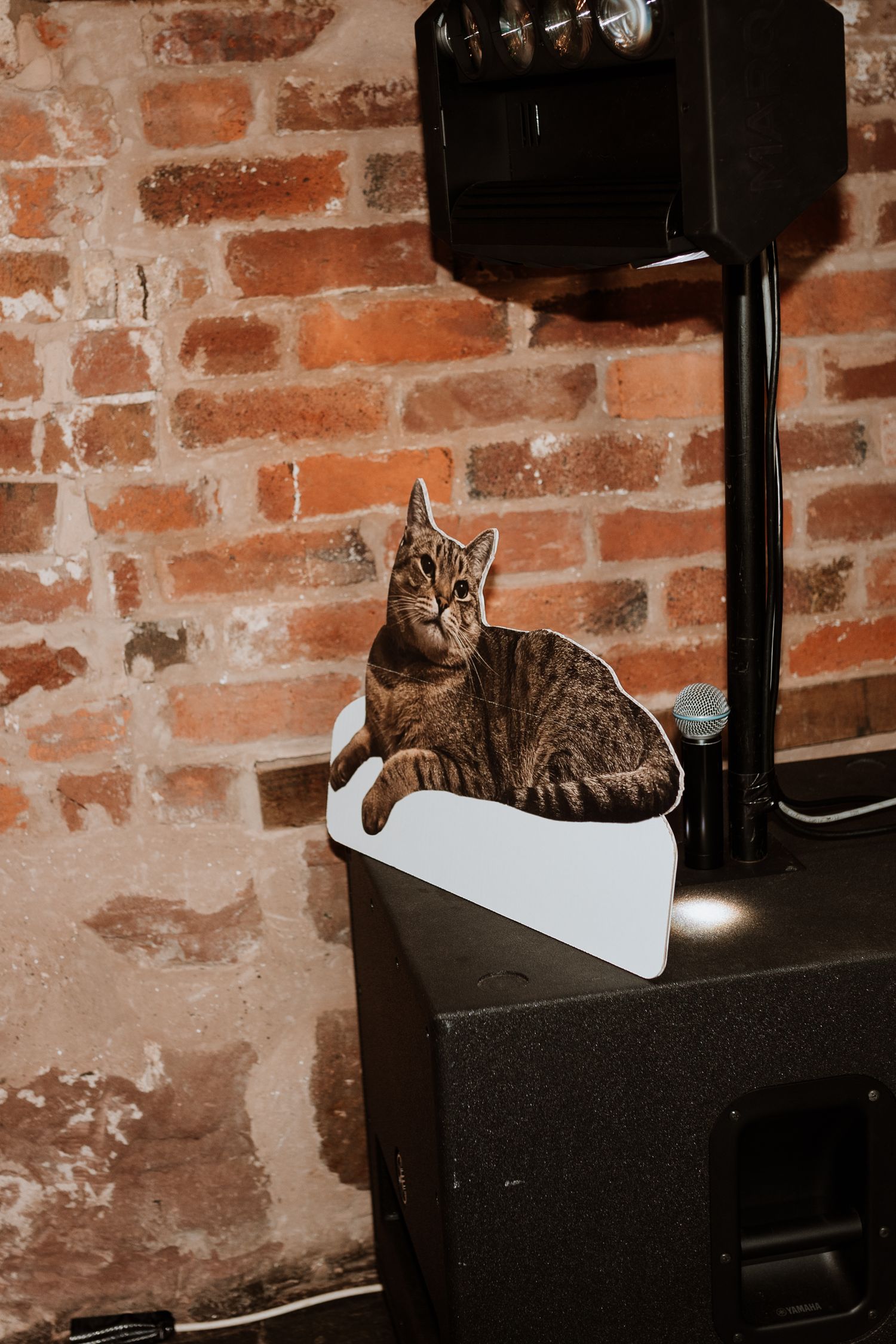 Tabby cat lounging on black wood stove against rustic exposed brick wall in warm vintage lighting.