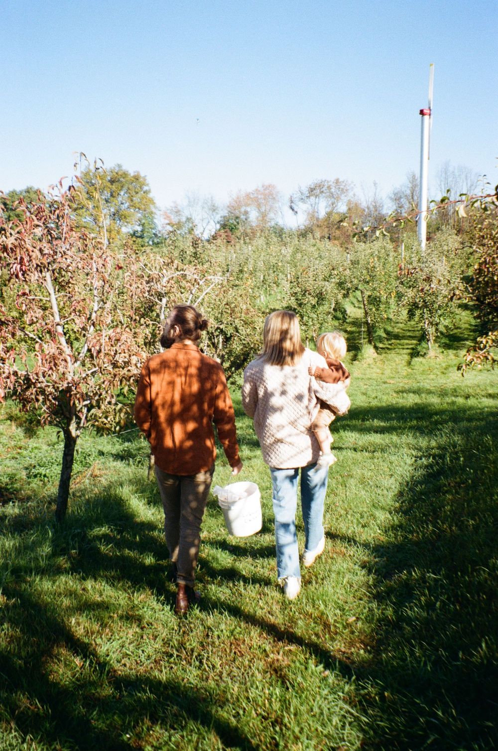 People walking through an apple orchard on a sunny autumn day carrying picking buckets.