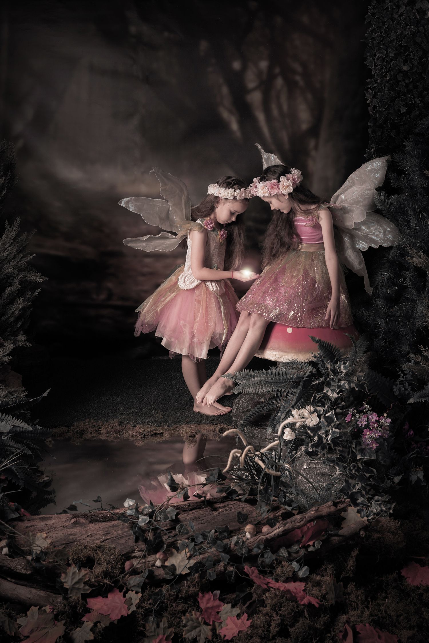 Dreamy woodland scene with pink tutus and fairy wings in a dark enchanted forest setting.