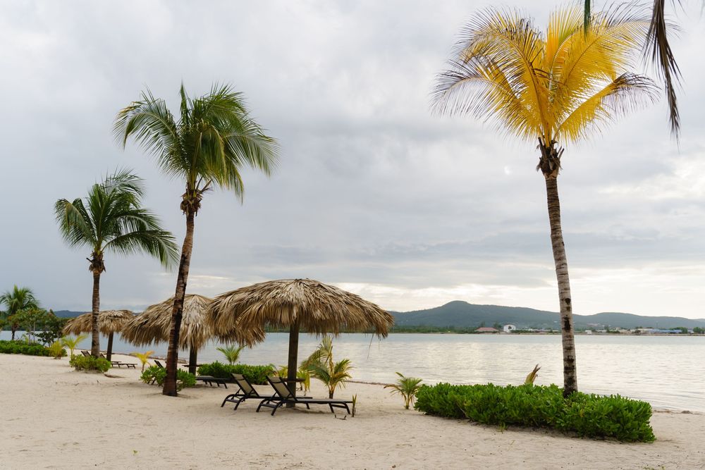 Tropical beach panorama with palm trees and lounge chairs along white sand shoreline at sunset.