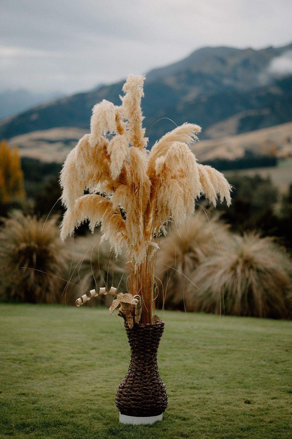 Pampas grass arrangement in a dark woven vase against mountain landscape with moody clouds and green grass.