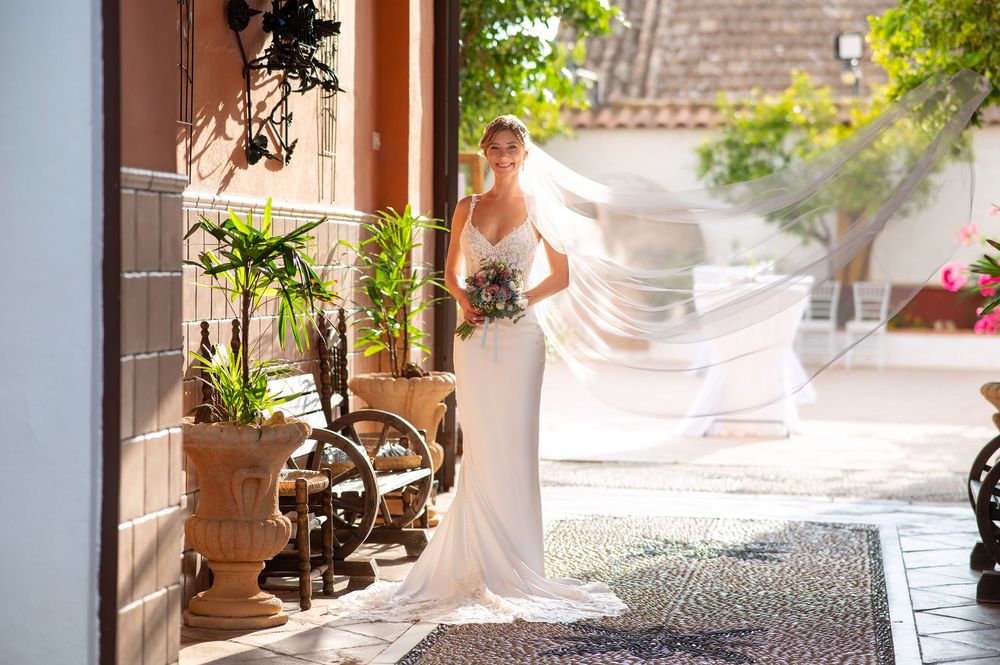 Someone in an elegant white wedding gown stands in a sunlit corridor with potted plants and a flowing veil.
