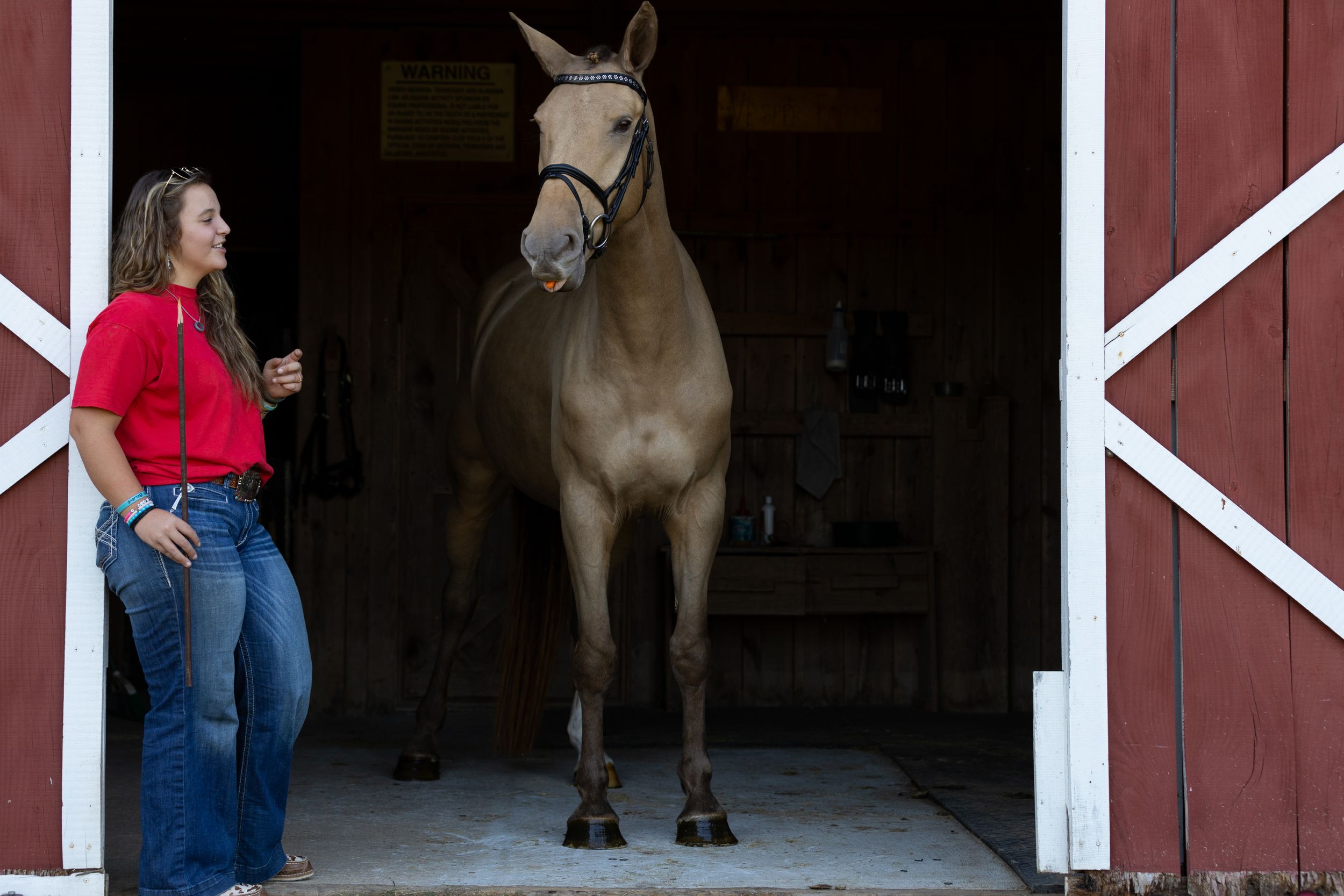 Horse standing proudly in red barn doorway with handler nearby.