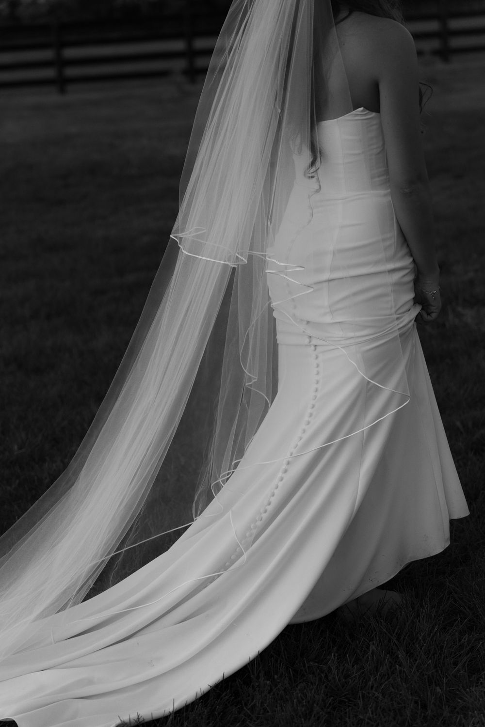 An elegant white wedding dress with a long flowing veil photographed from behind.