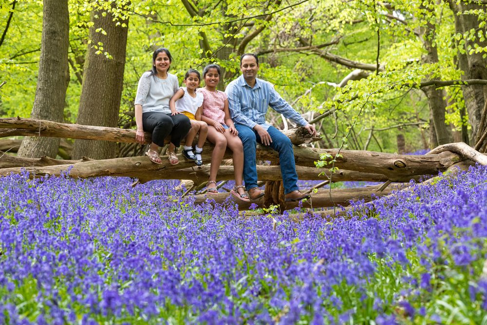 A group sits on a fallen log surrounded by vibrant purple bluebells blooming in a spring woodland setting.