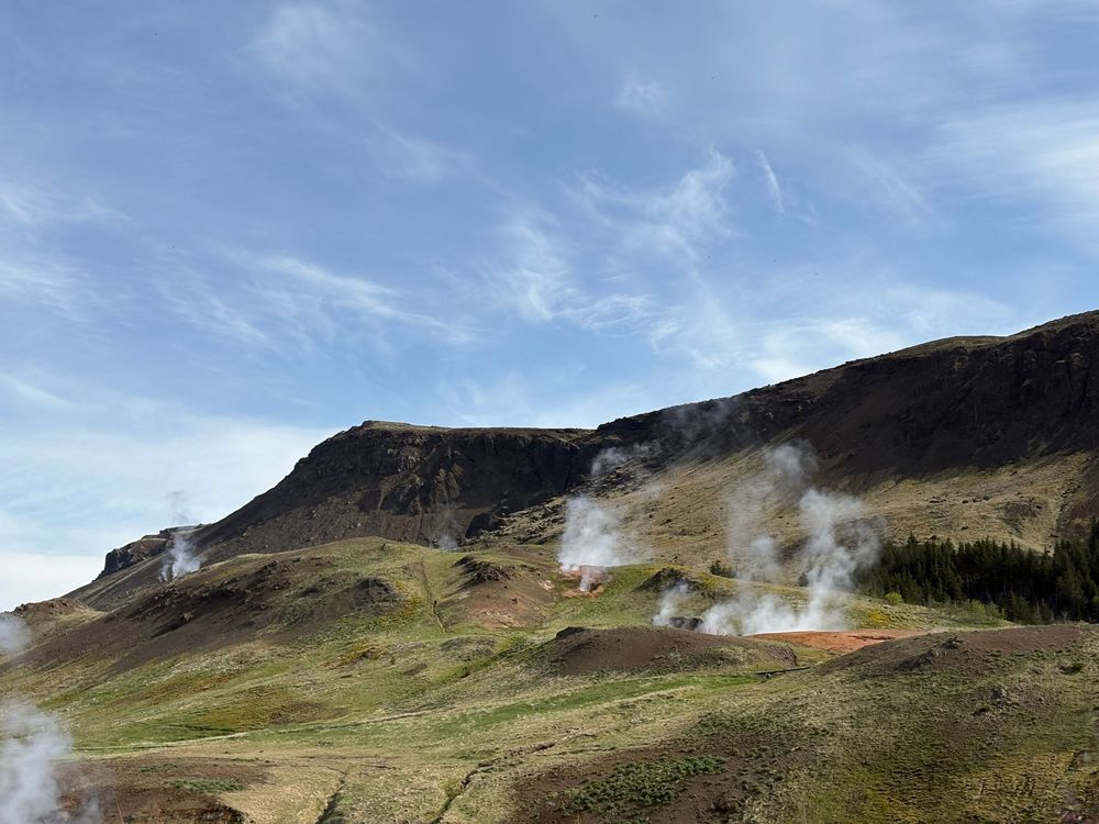 Steam rises from geothermal vents on a green hillside against dark cliffs and blue sky in Iceland.